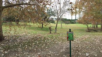 Trinity University DGC image